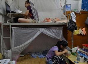 女生宿舍318免费观看