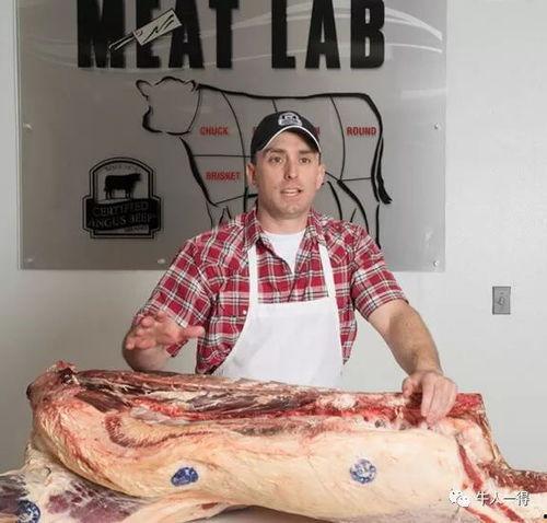 牛色视频,揭秘现代生活新潮流