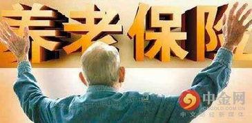 老王爆料小智视频大全集,小智视频大全集背后的精彩故事