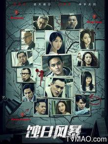 蚀日风暴在线播放09,09集在线播放，揭秘神秘风暴背后的惊天秘密