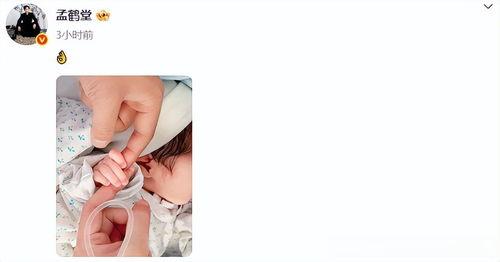 丝袜动画视频,一场视觉与情感的盛宴