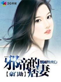 丝袜妻小说,都市情感纠葛的丝滑诱惑