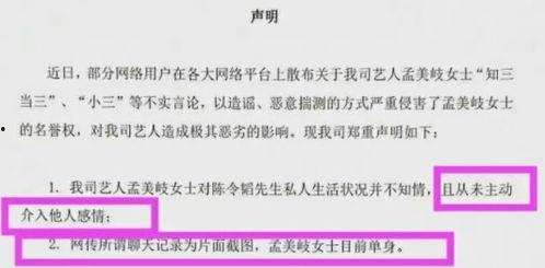 娱乐圈吃瓜合集小作文,揭秘明星幕后故事